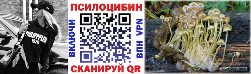 мега онион  Мытищи  Псилоцибиновые грибы прущие грибы 