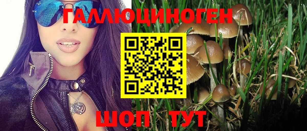 Псилоцибиновые грибы ЛСД Мытищи