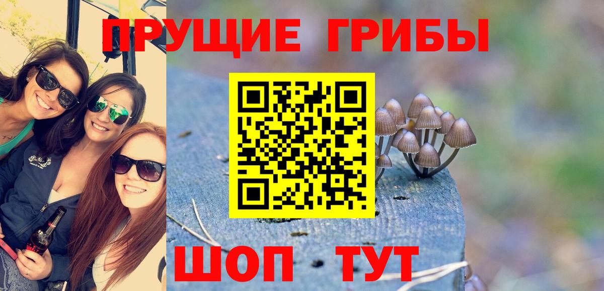 Галлюциногенные грибы Magic Shrooms  Вход с VPN  Мытищи 
